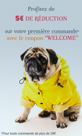 Accessoires pour chiens